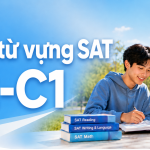Tài liệu từ vựng SAT cho học sinh mới bắt đầu